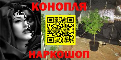индика Пенза