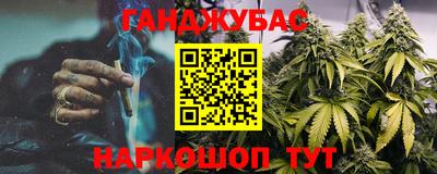 индика Пенза