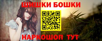 индика Пенза