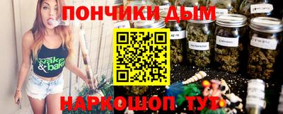 индика Пенза