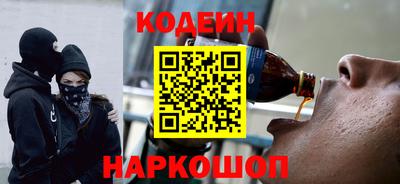 индика Пенза